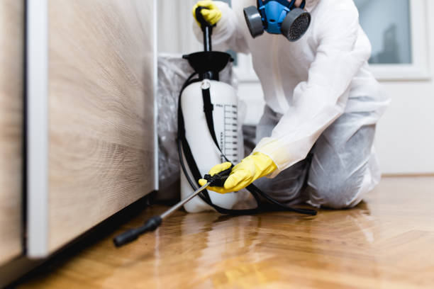 Best Best Pest Control Companies  in Springdale, AR