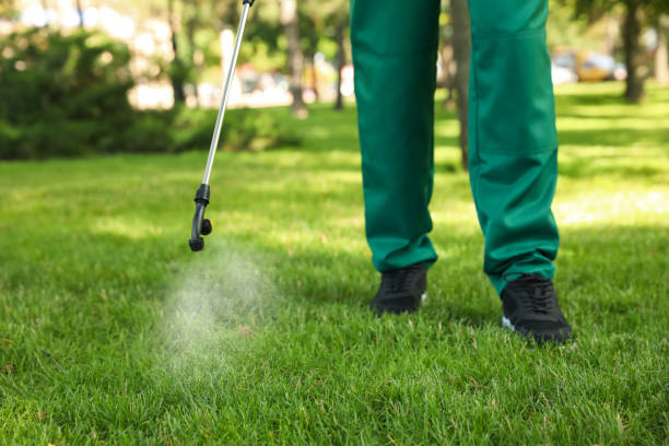 Best Mosquito Control Services  in Springdale, AR