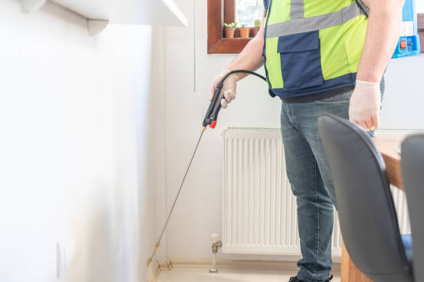 Best Insect Control  in Springdale, AR