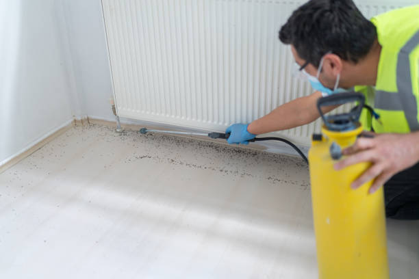 Best Pest Removal Services  in Springdale, AR