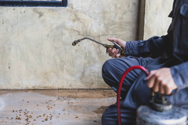 Best Emergency Pest Control  in Springdale, AR